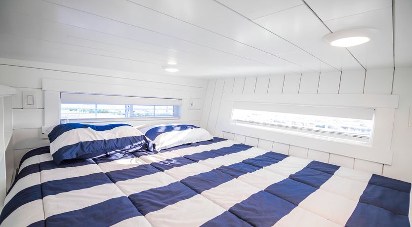 Photo of Desert Starlight