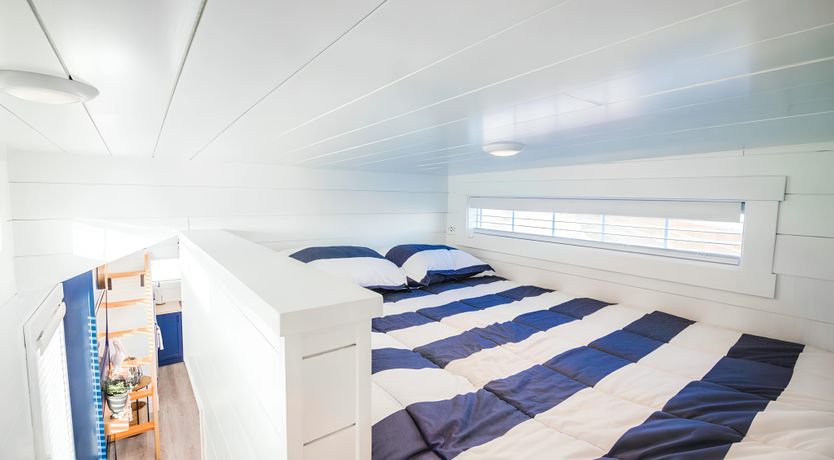 Photo of Desert Starlight