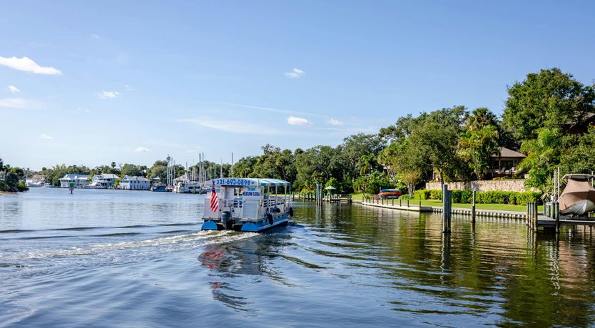 Photo of Vintage Oasis