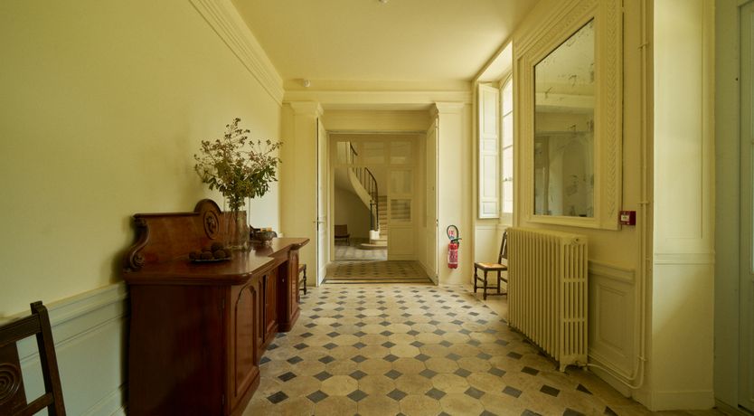 Photo of Sauvignon Vines