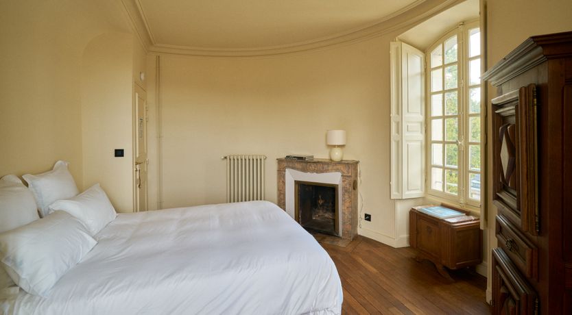 Photo of Sauvignon Vines