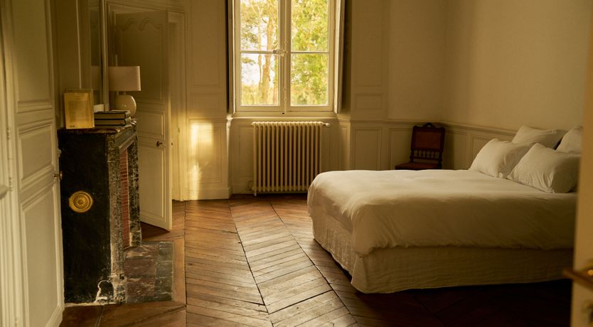 Photo of Sauvignon Vines