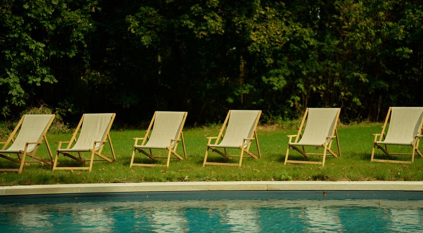 Photo of Sauvignon Vines