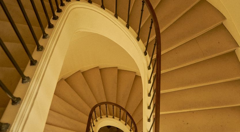 Photo of Sauvignon Vines