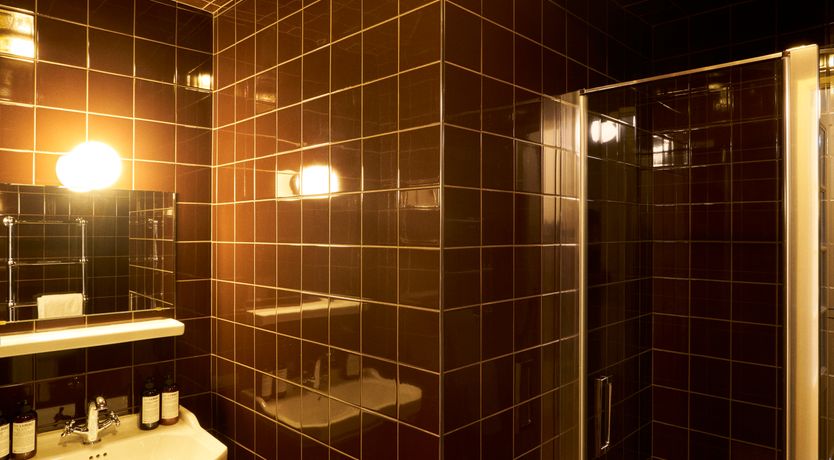 Photo of Sauvignon Vines