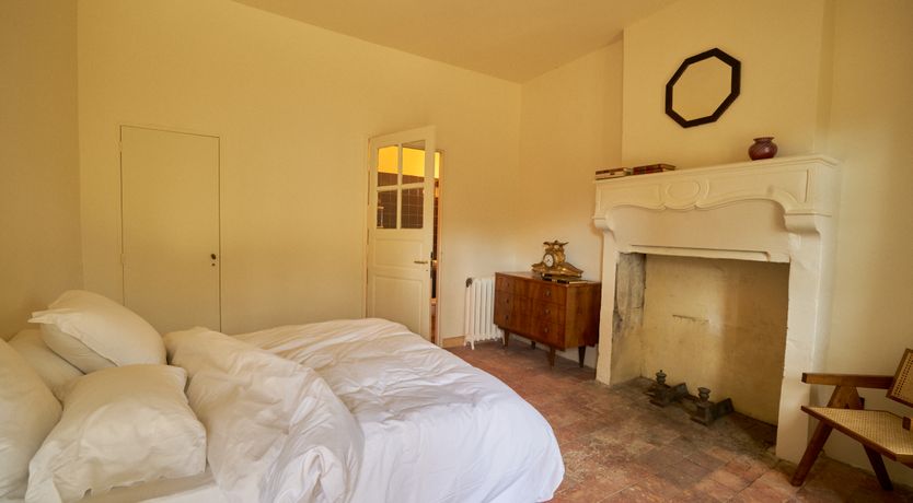 Photo of Sauvignon Vines