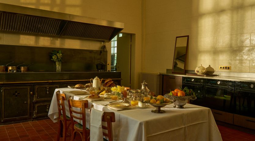 Photo of Sauvignon Vines