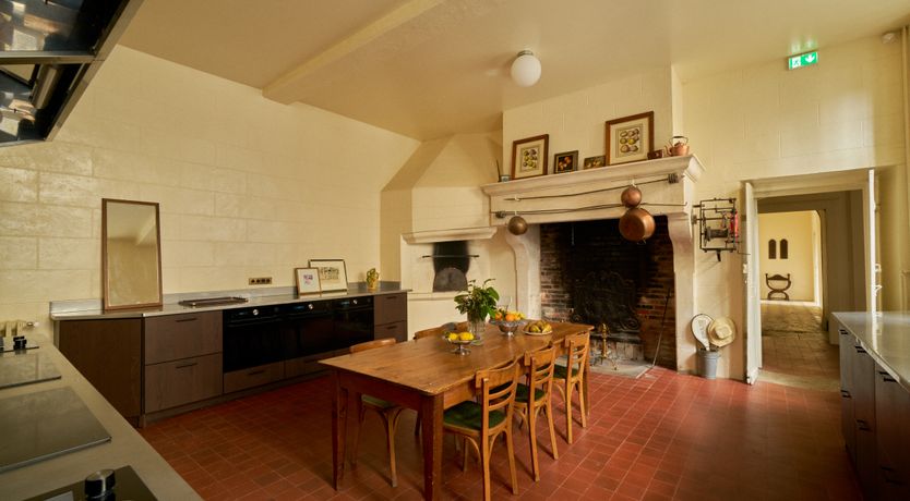 Photo of Sauvignon Vines