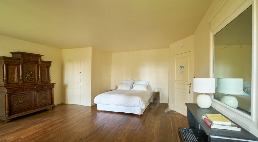 Photo of Sauvignon Vines