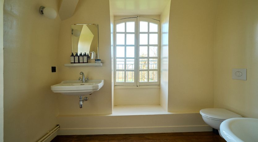 Photo of Sauvignon Vines