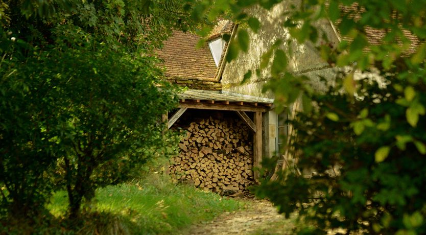 Photo of Sauvignon Vines