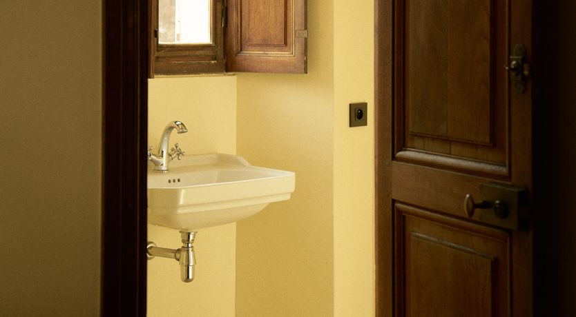 Photo of Sauvignon Vines