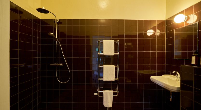 Photo of Sauvignon Vines