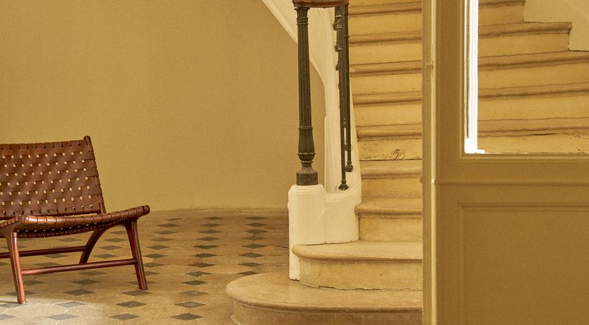 Photo of Sauvignon Vines