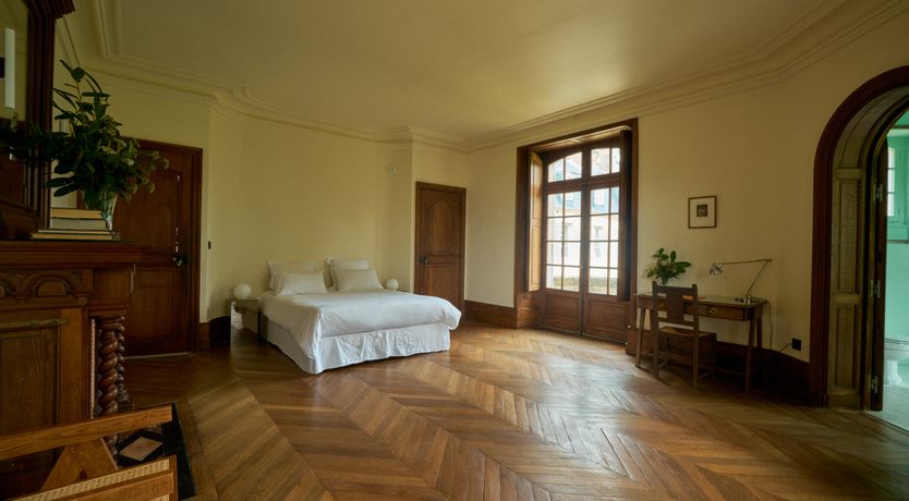 Photo of Sauvignon Vines