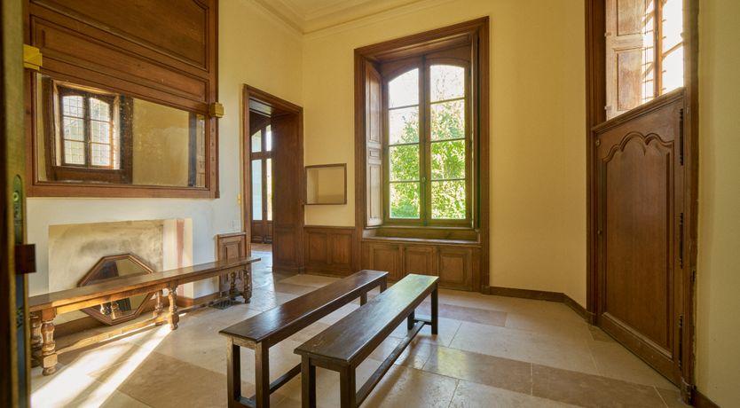 Photo of Sauvignon Vines