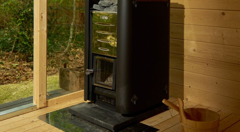 Photo of Sauvignon Vines