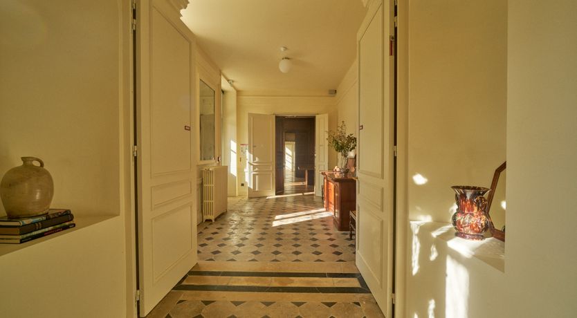 Photo of Sauvignon Vines