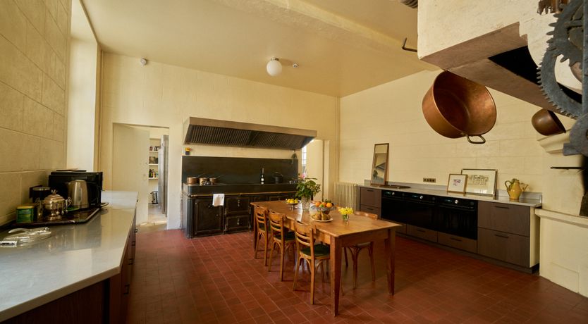 Photo of Sauvignon Vines