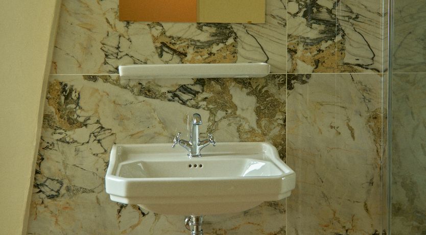 Photo of Sauvignon Vines