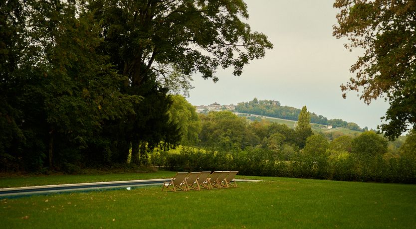 Photo of Sauvignon Vines