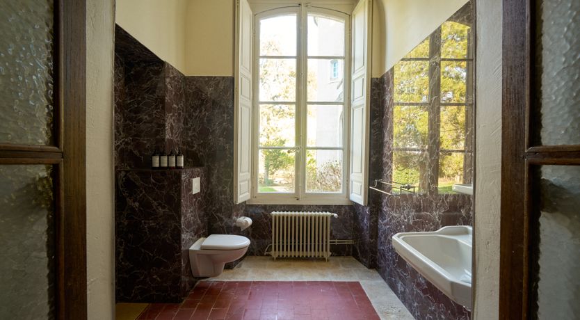 Photo of Sauvignon Vines