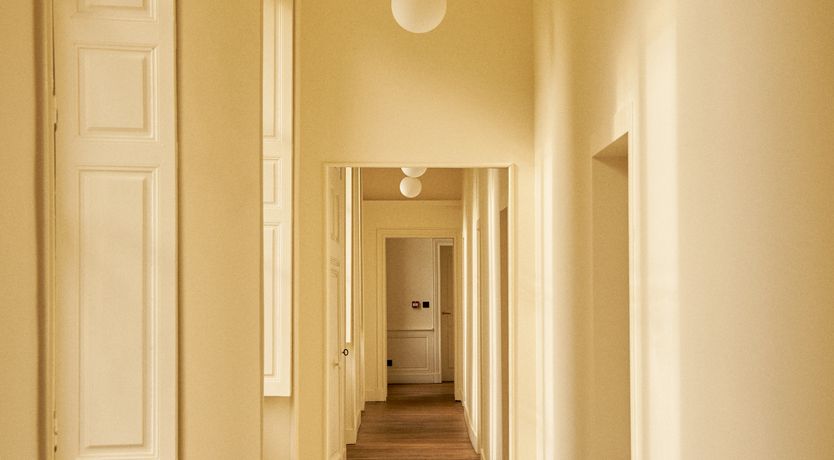 Photo of Sauvignon Vines