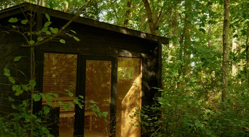 Photo of Sauvignon Vines