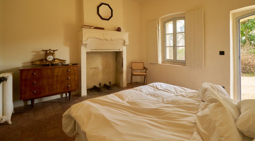 Photo of Sauvignon Vines