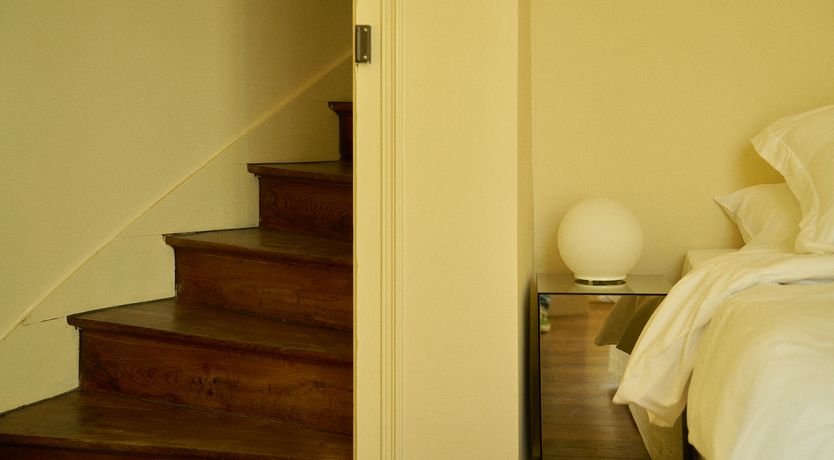 Photo of Sauvignon Vines