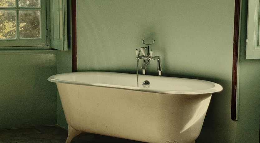 Photo of Sauvignon Vines