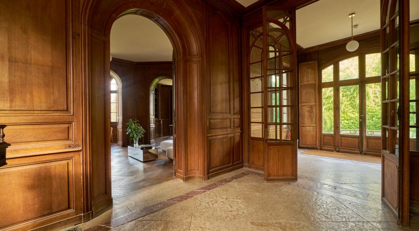 Photo of Sauvignon Vines