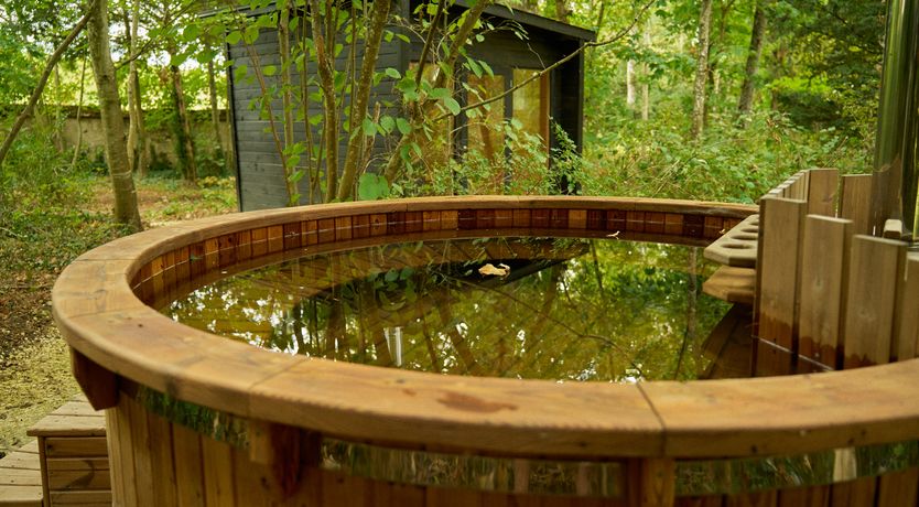 Photo of Sauvignon Vines