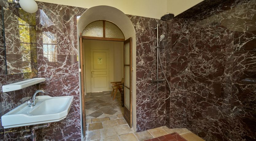 Photo of Sauvignon Vines