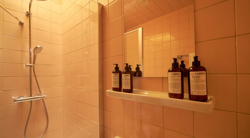 Photo of Sauvignon Vines