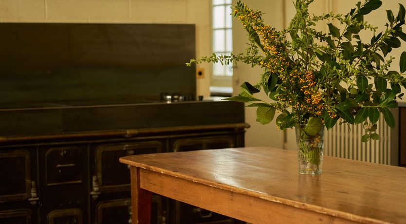 Photo of Sauvignon Vines