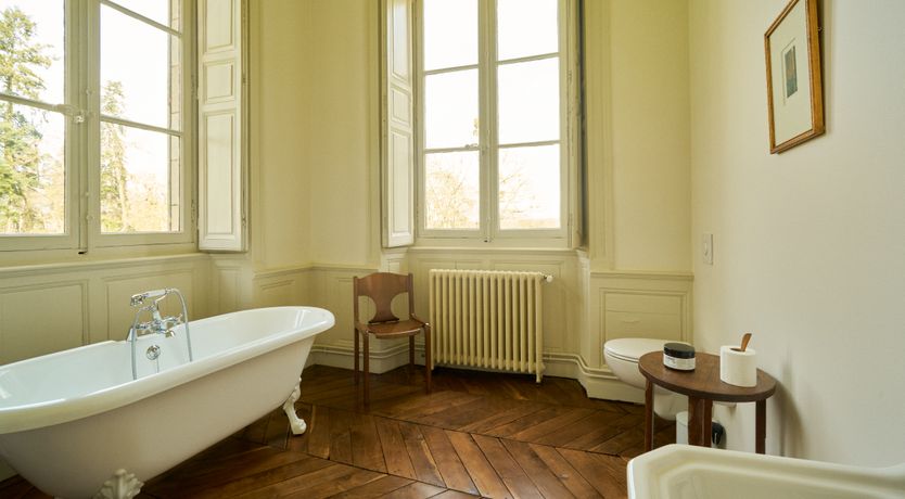 Photo of Sauvignon Vines