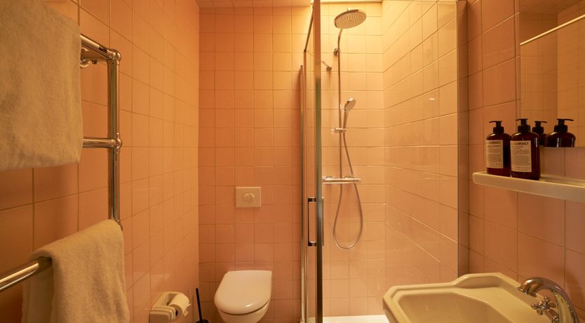 Photo of Sauvignon Vines