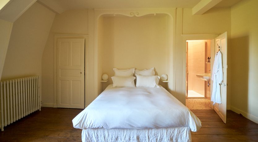 Photo of Sauvignon Vines