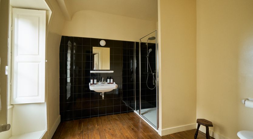 Photo of Sauvignon Vines