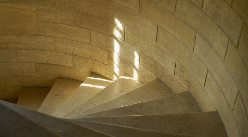 Photo of Sauvignon Vines