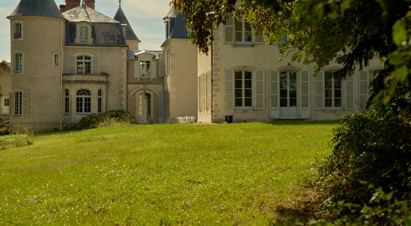 Photo of Sauvignon Vines