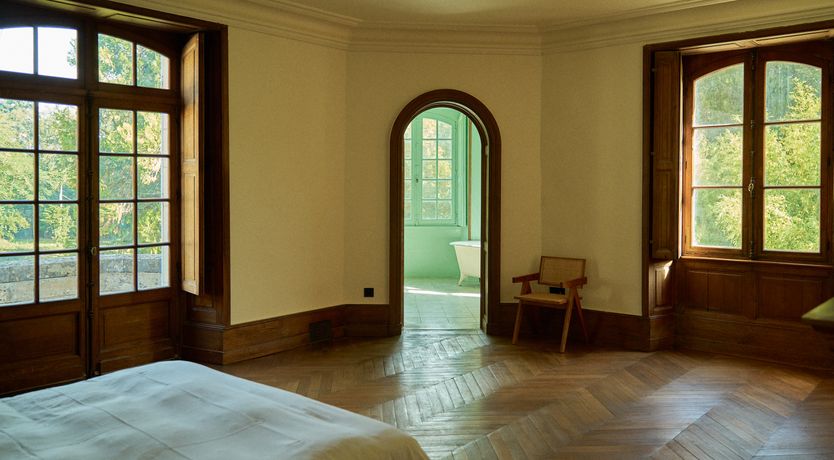 Photo of Sauvignon Vines