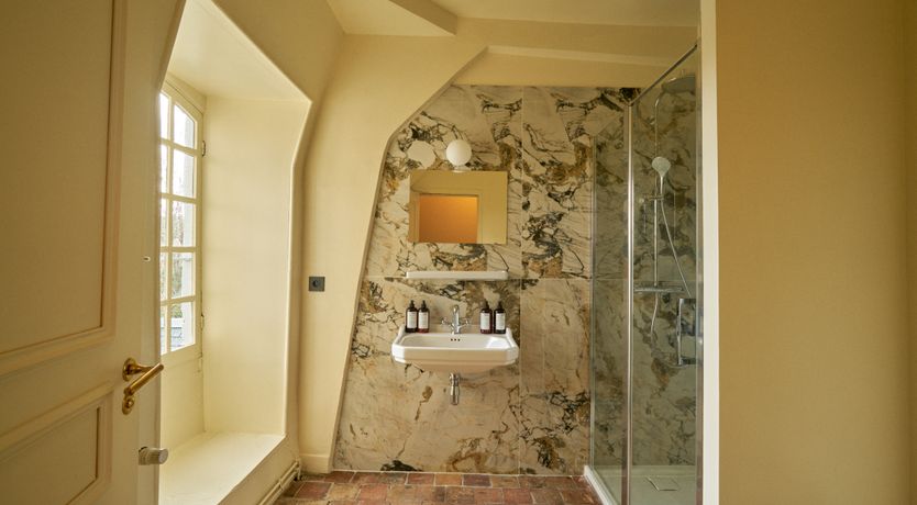 Photo of Sauvignon Vines