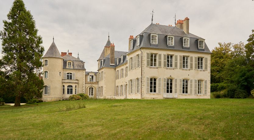 Photo of Sauvignon Vines