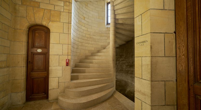 Photo of Sauvignon Vines