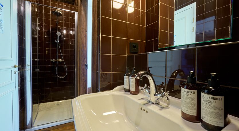 Photo of Sauvignon Vines