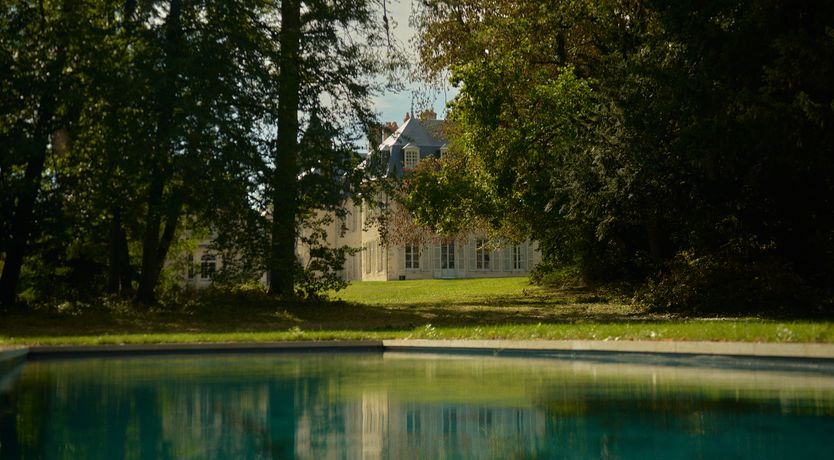 Photo of Sauvignon Vines