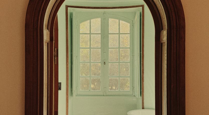 Photo of Sauvignon Vines