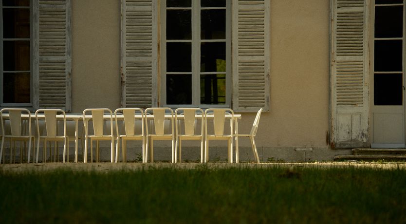 Photo of Sauvignon Vines